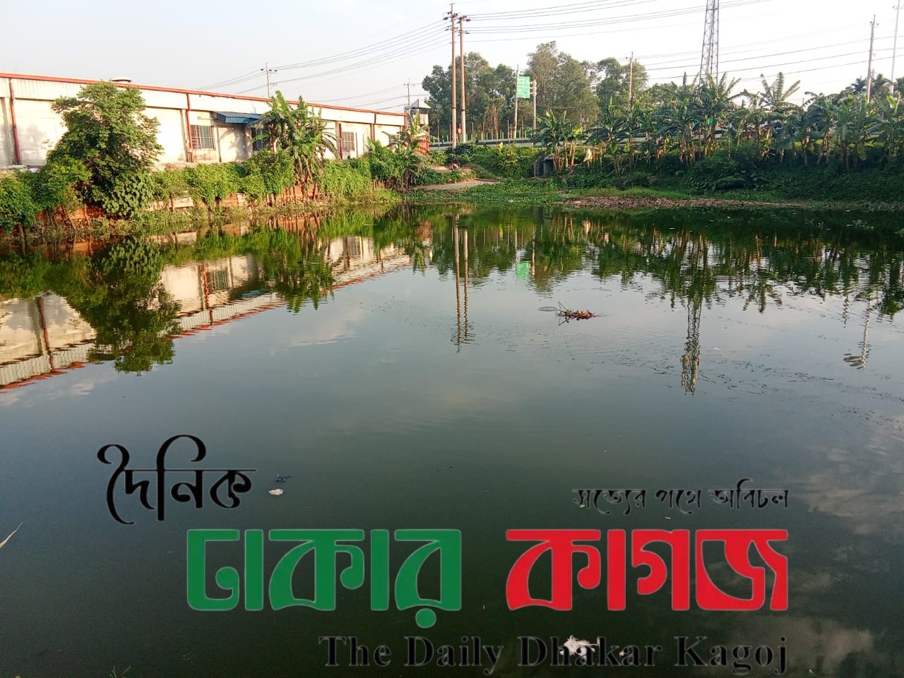 সরকারি পুকুর থেকে মাছ চুরির ভিডিও ভাইরাল